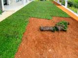 Landscaping service in Colombo